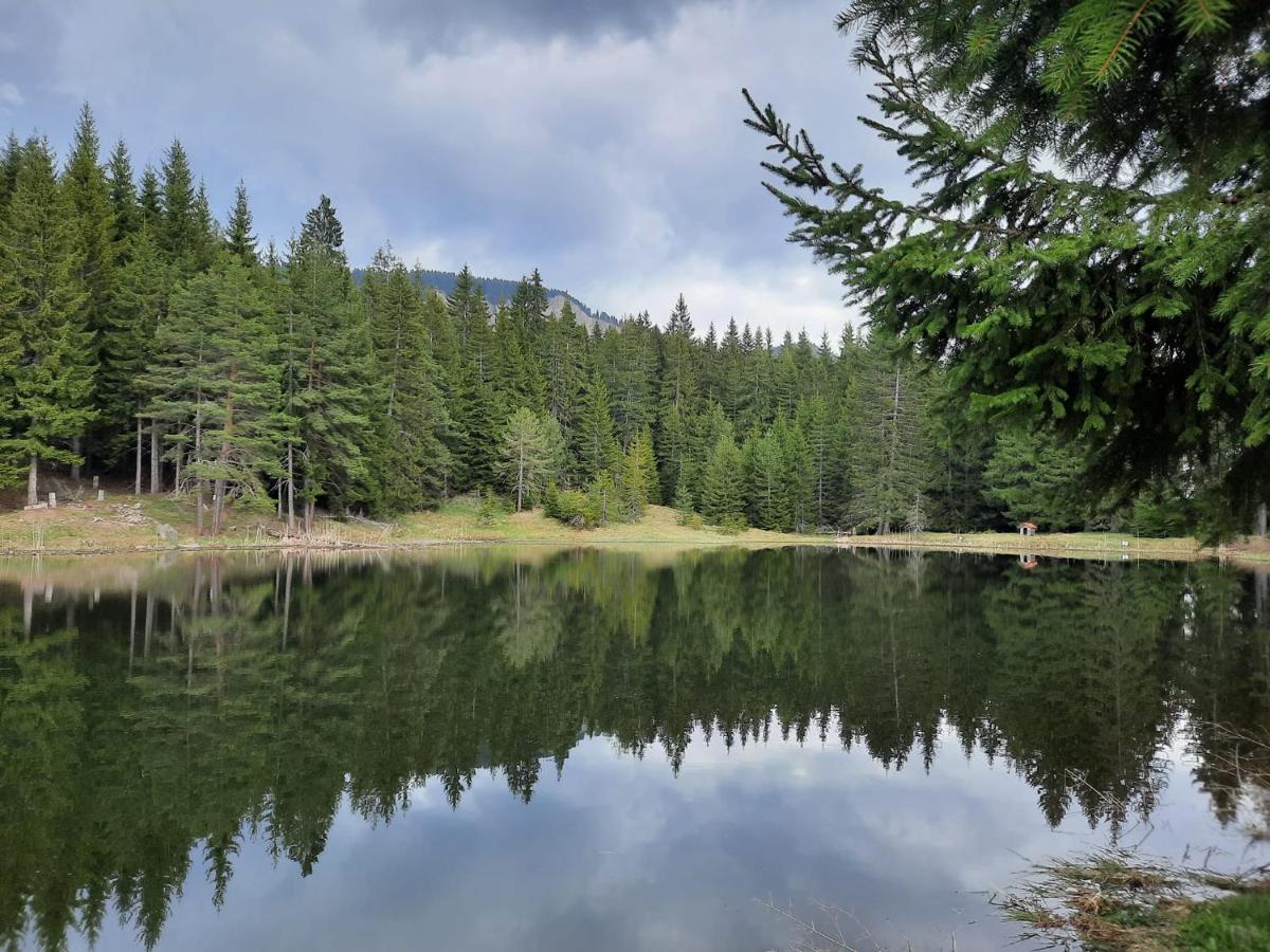 Утро Без Аларма, Смолянски Езера. Alarm Free Morning Smolyan Lakes Exterior photo